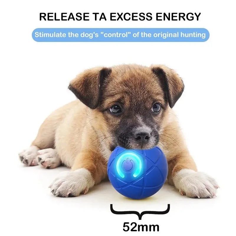 Interactive Auto-Rolling Dog Toy Ball