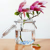 Crystal Clear Acrylic Crushed Ice Stones for Vases & Decor (100-Pack)
