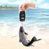 Portable Digital Hanging Scale with LCD Display