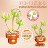 DIY Succulent Plant Building Block Bouquet