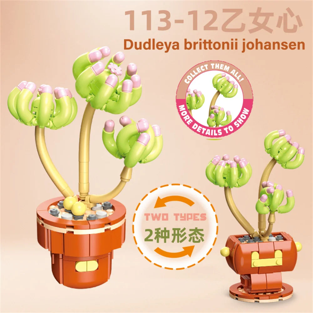 DIY Succulent Plant Building Block Bouquet