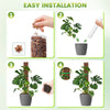 Four steps showing the easy installation of a durable plastic plant moss pole for climbing indoor plants.