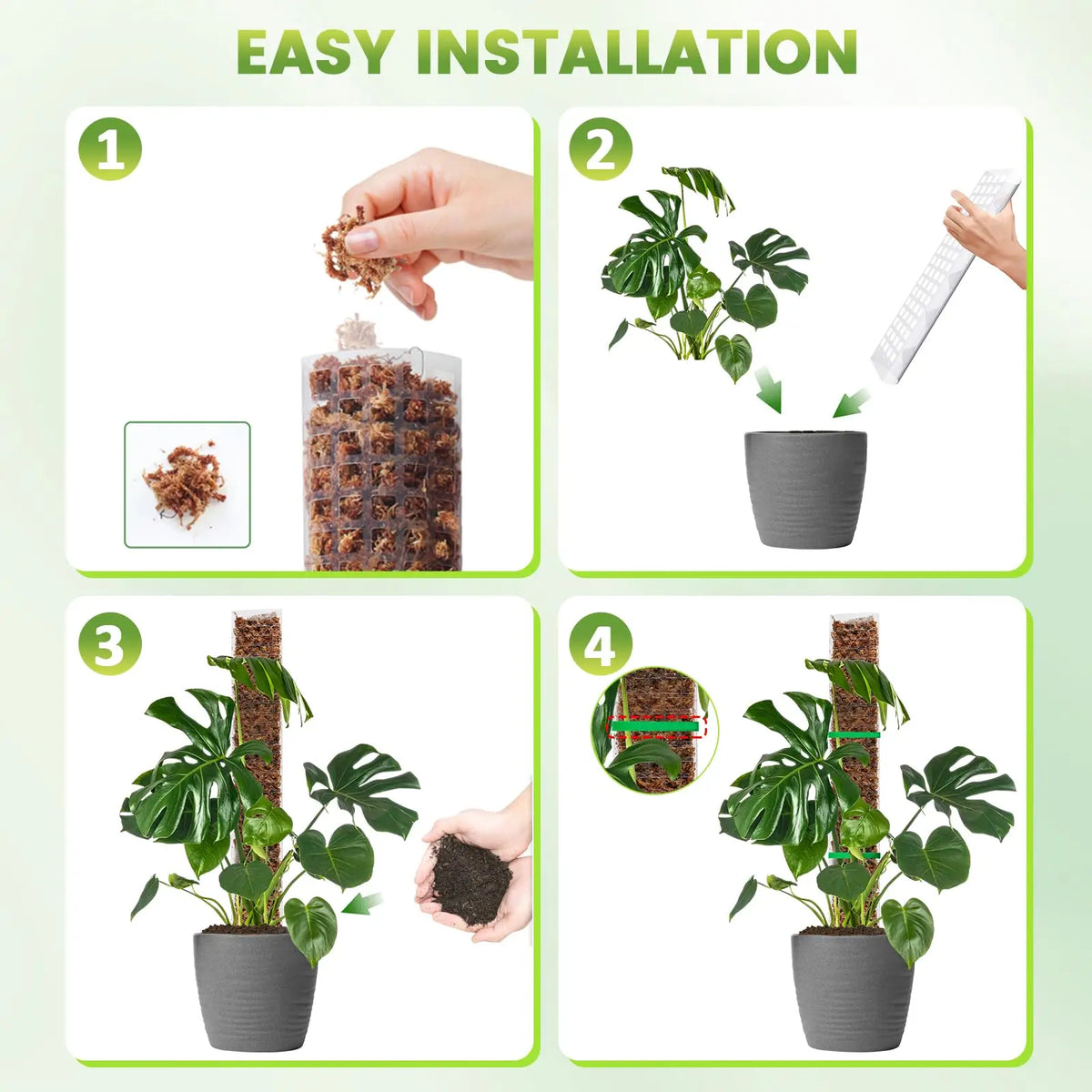 Four steps showing the easy installation of a durable plastic plant moss pole for climbing indoor plants.
