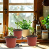 A collection of pink and beige reusable plastic seedling pots for indoor and outdoor gardening displayed on a wooden surface.