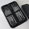 A black zippered case holding a set of premium stainless steel dental care tools for oral hygiene.