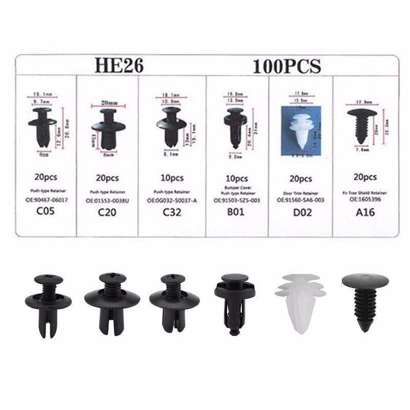 100-Piece Assorted Auto Trim Fastener Clip Kit