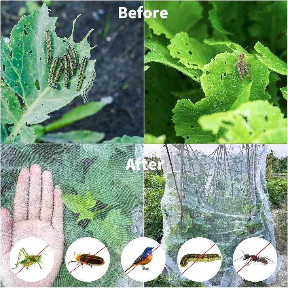 Before and after images showing ultra-fine mesh netting protecting garden plants from pests