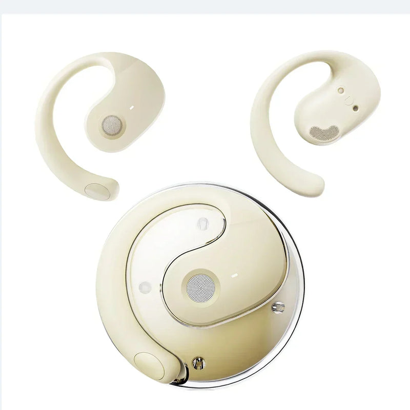 Real-Time Translation Earbuds