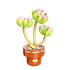 DIY Succulent Plant Building Block Bouquet