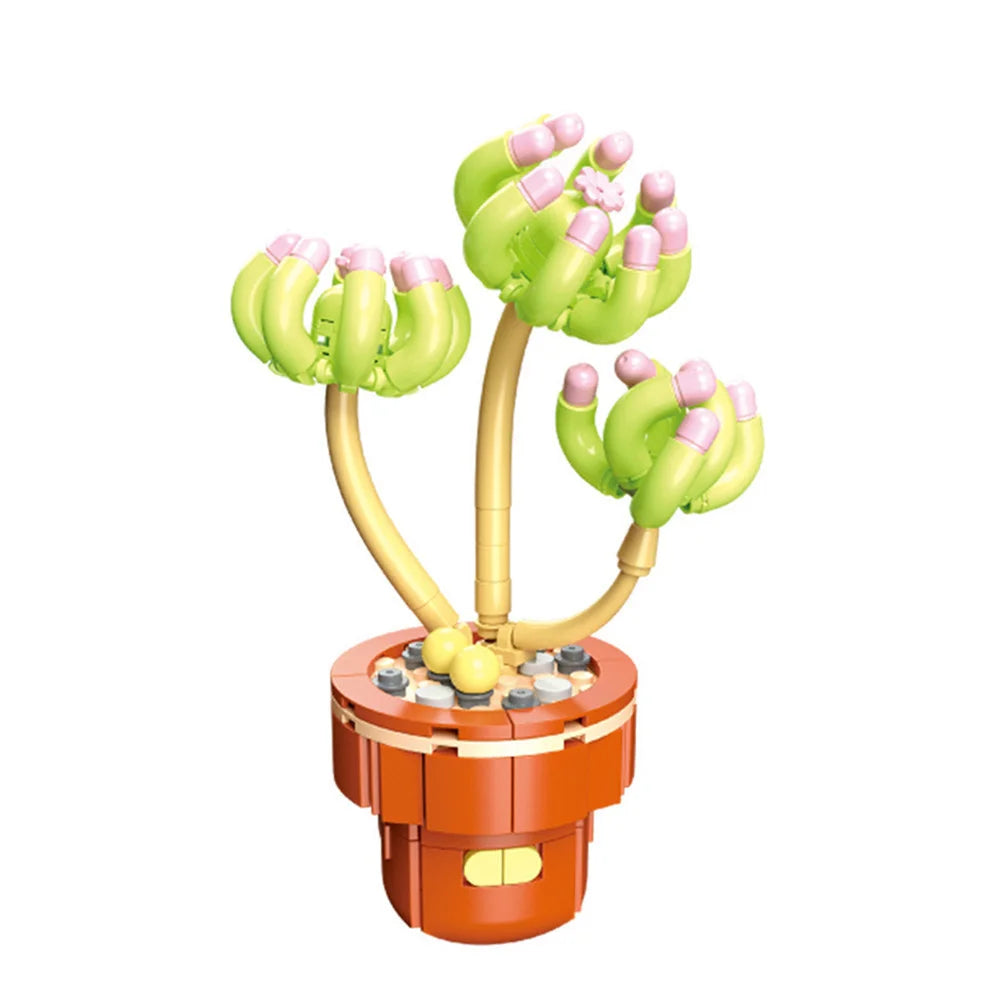 DIY Succulent Plant Building Block Bouquet