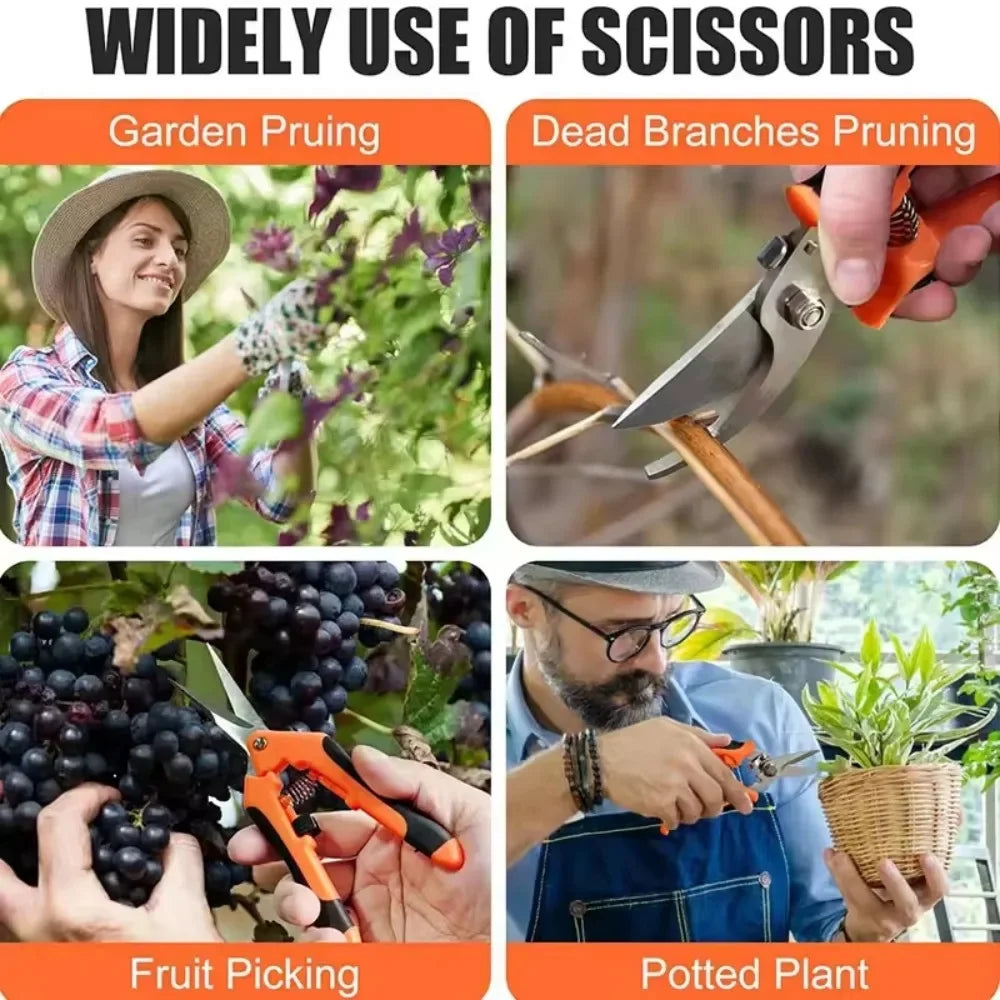 A collage showing various uses of scissors including garden pruning, dead branches pruning, fruit picking, and potted plant c