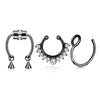 Magnetic Septum Ring Set
