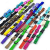 A variety of colorful adjustable backpack chest straps are displayed in a row.