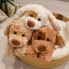 Curly Teddy Dog Plush Pillow – Soft Cuddly Stuffed Animal