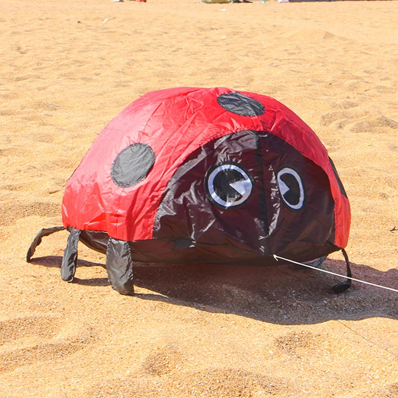 Ladybird Ground Kite for Outdoor Family Fun
