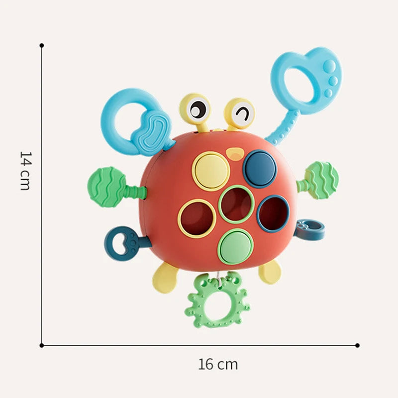 A round, orange silicone pull string sensory toy with blue handles and green accents.