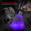 A hand holds a rechargeable UV blacklight flashlight illuminating pet stains on a dark surface.