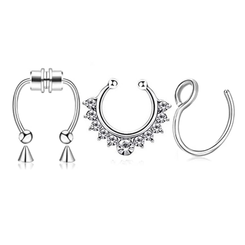 Magnetic Septum Ring Set