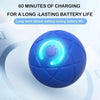 Interactive Auto-Rolling Dog Toy Ball