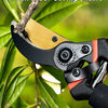 A close-up of a garden labor-saving pair of shears with a wooden handle and black metal blades being used to prune a branch.