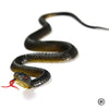 Juguete Broma: Serpiente de Goma Realista