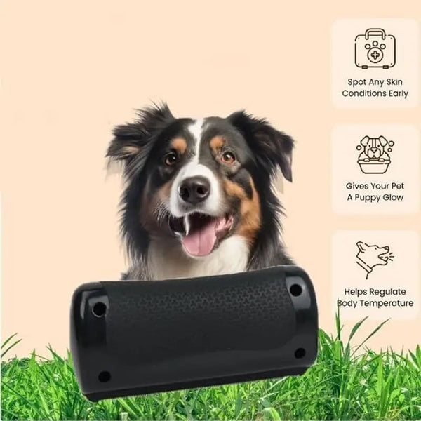 Professional Pet Deshedding Brush