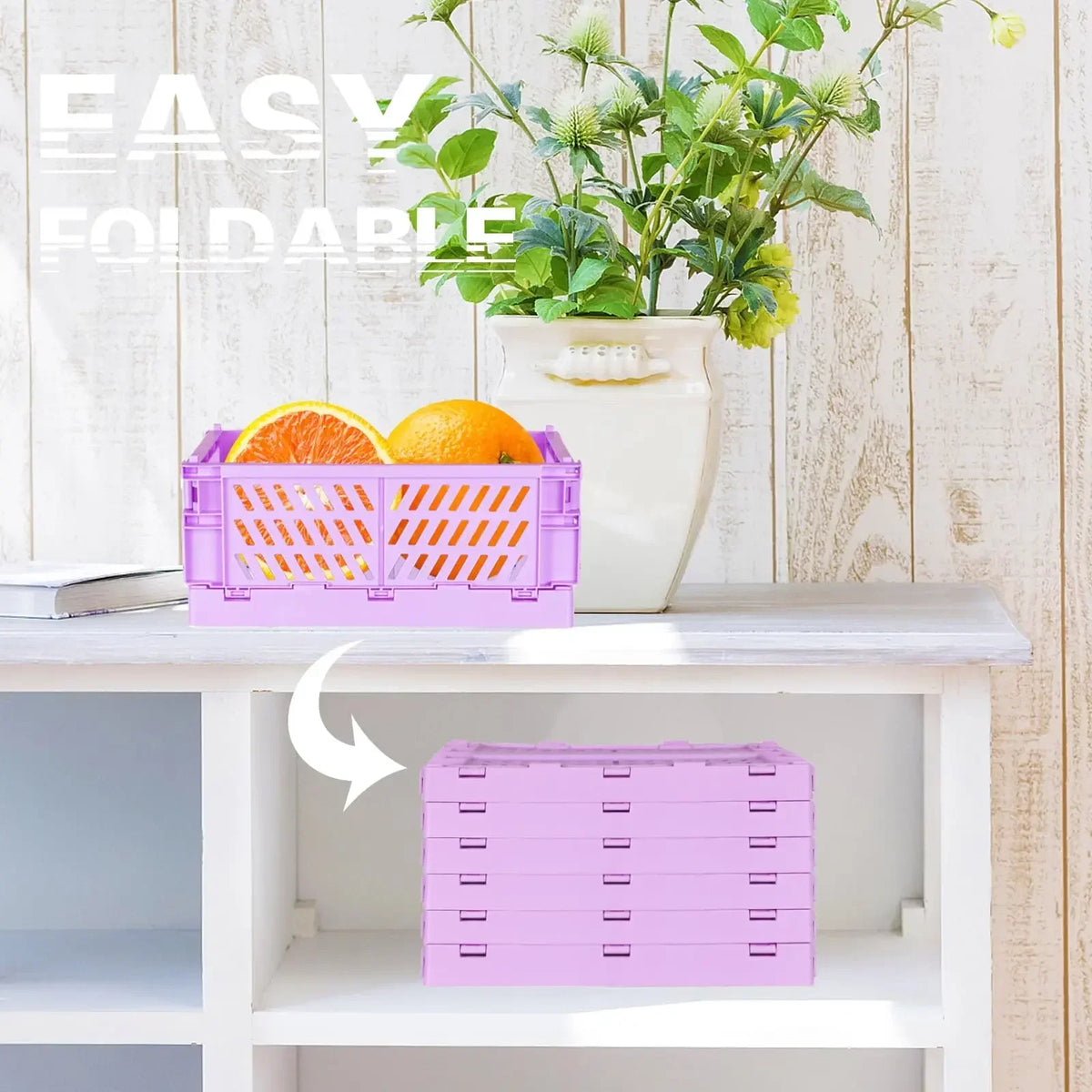 Collapsible Plastic Storage Baskets, Set of 2