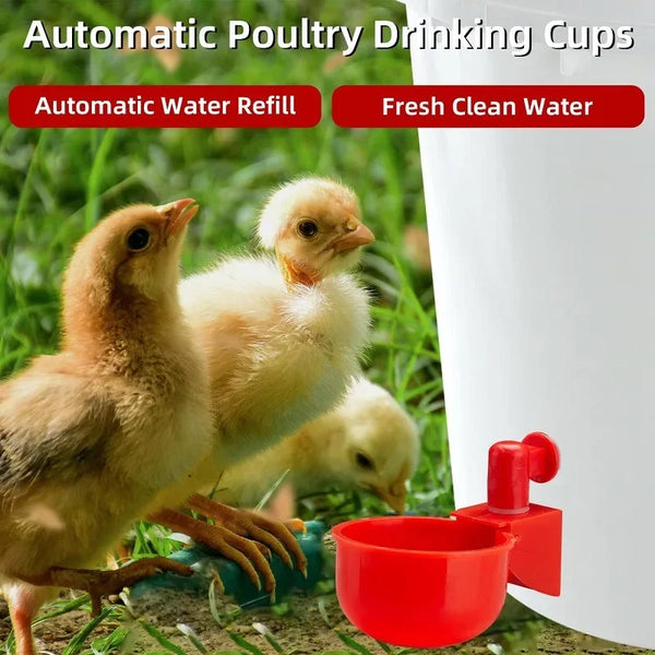 Automatic Poultry Drinking Cup