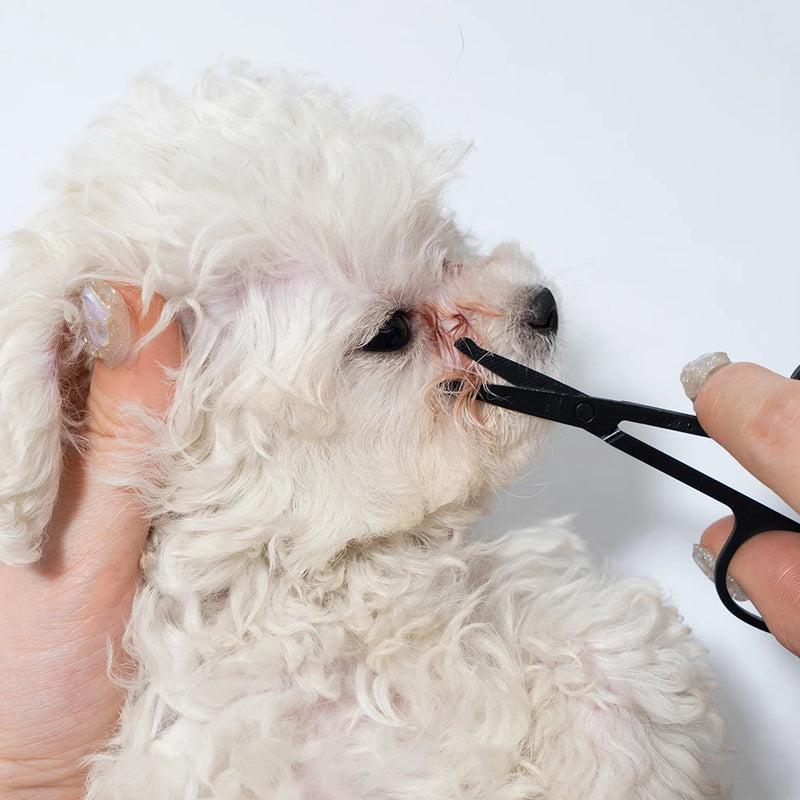 Pet Facial Grooming Comb & Scissors Kit