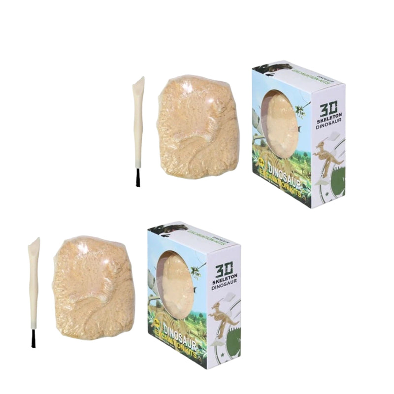 Dinosaur Fossil Excavation Kit for Kids