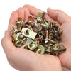 A hand holds a pile of various self-tapping fasteners and screws for automotive use.