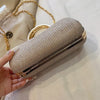 Vintage Chain Evening Bag