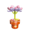 DIY Succulent Plant Building Block Bouquet