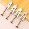 Self-Drilling Drywall Anchors with Expansion Screws for Picture Frames and Home DIY