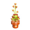 DIY Succulent Plant Building Block Bouquet