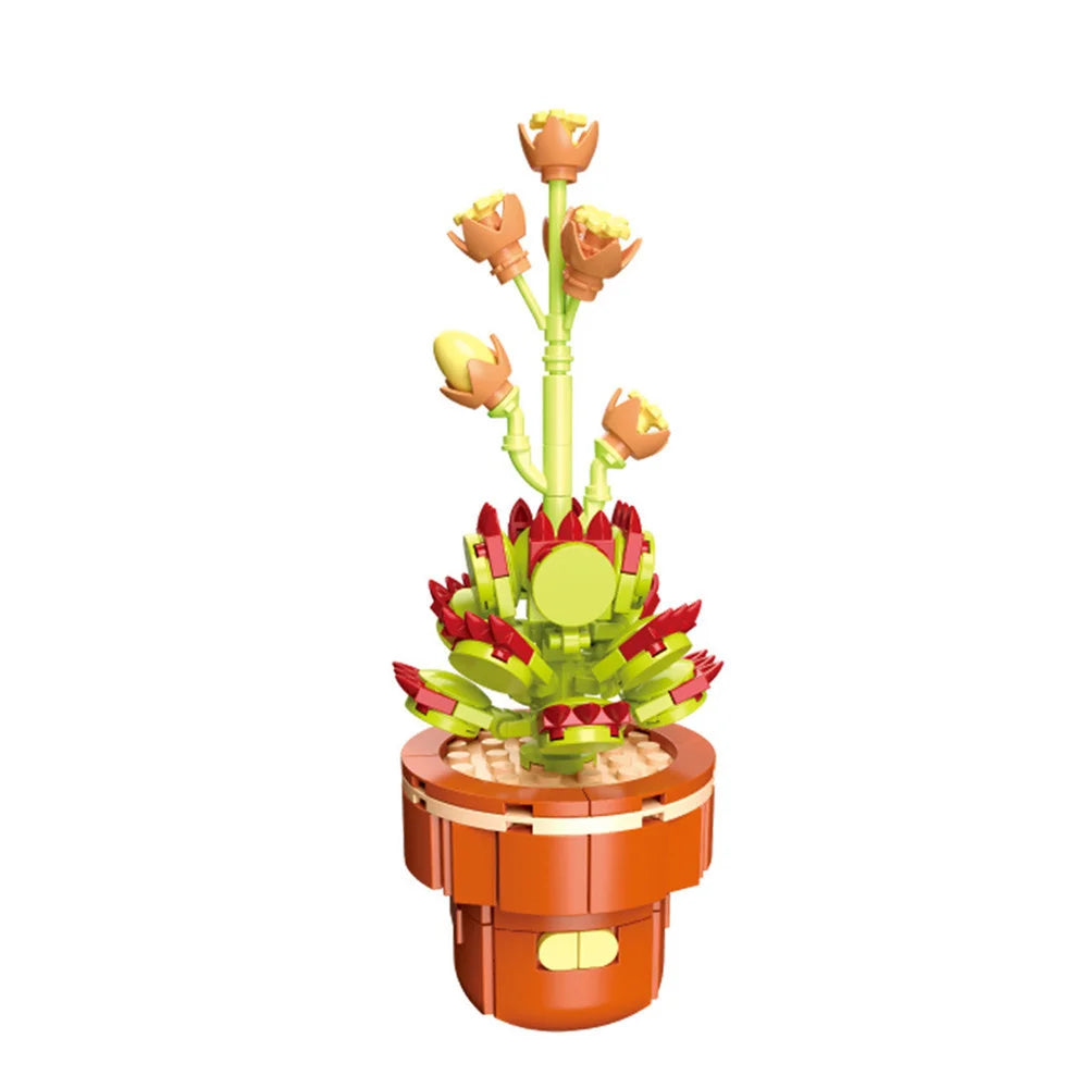 DIY Succulent Plant Building Block Bouquet
