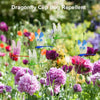 A close-up of dragonfly clip bug repellent flowers featuring colorful pink and purple blooms.