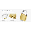 A gold-colored alloy lock body with a key, a hardened steel lock shackle, and an alloy lock cylinder.