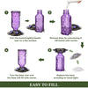 Hanging Glass Hummingbird Feeder with Ant Moat