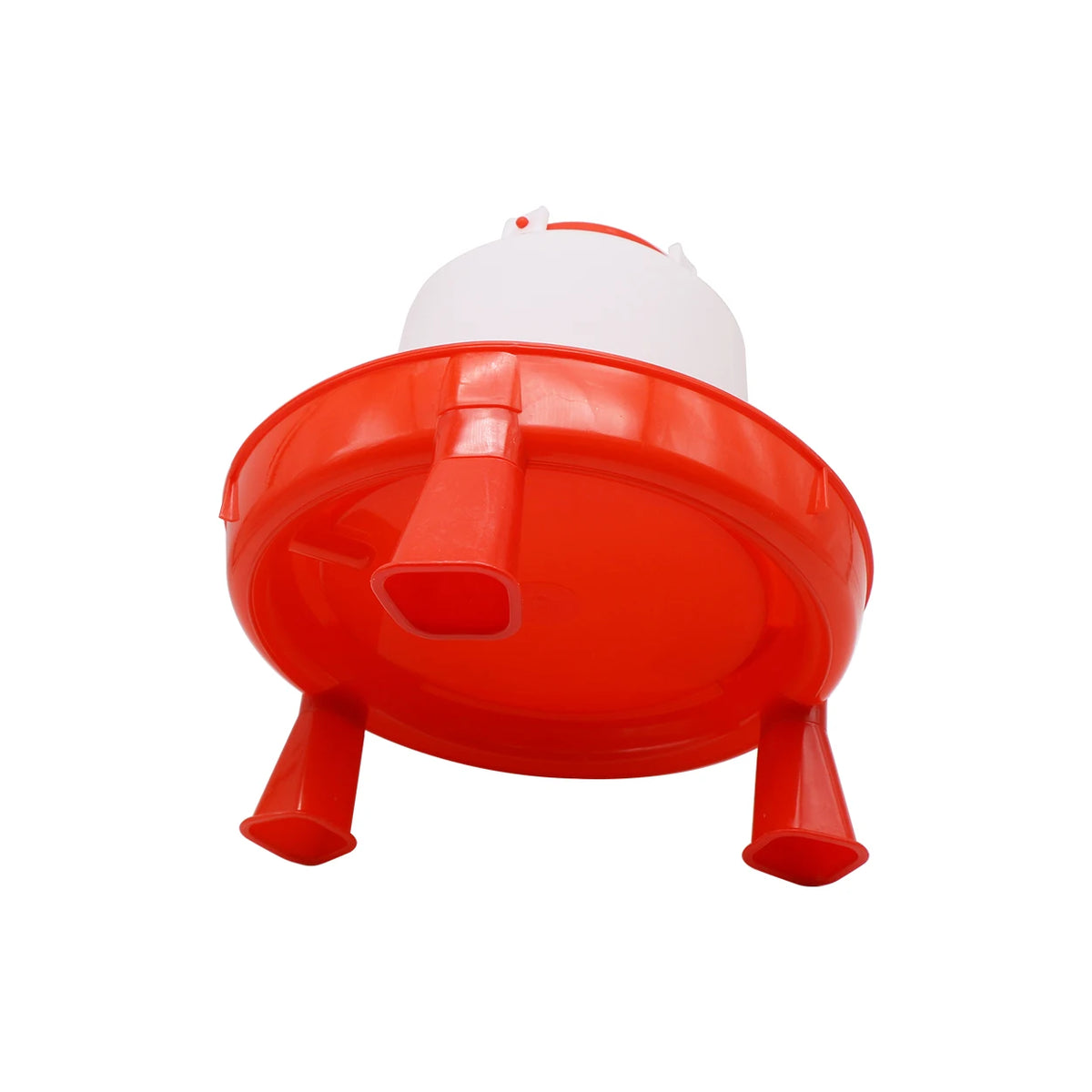 5L Automatic Poultry Waterer with Stable Base