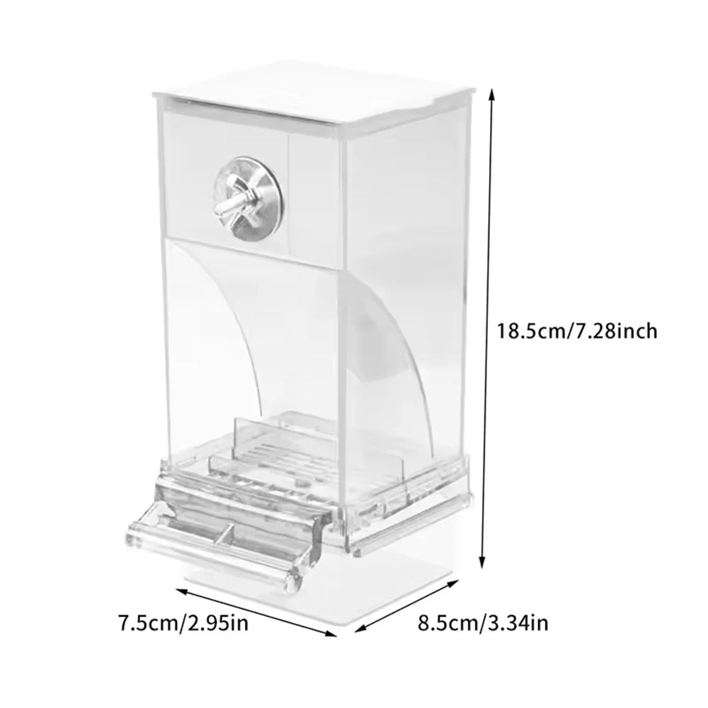 A clear, rectangular anti-spill parrot feeder with a transparent base and feeding tray.