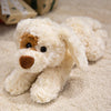 Curly Teddy Dog Plush Pillow – Soft Cuddly Stuffed Animal