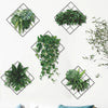 Calcomanías de Pared 3D con Plantas Tropicales - Set de 6