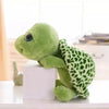 Adorable Big-Eye Green Turtle Plush Toy – Soft 20cm