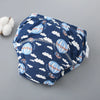 Cotton Toddler Training Pants (Reusable, Pack of Options)