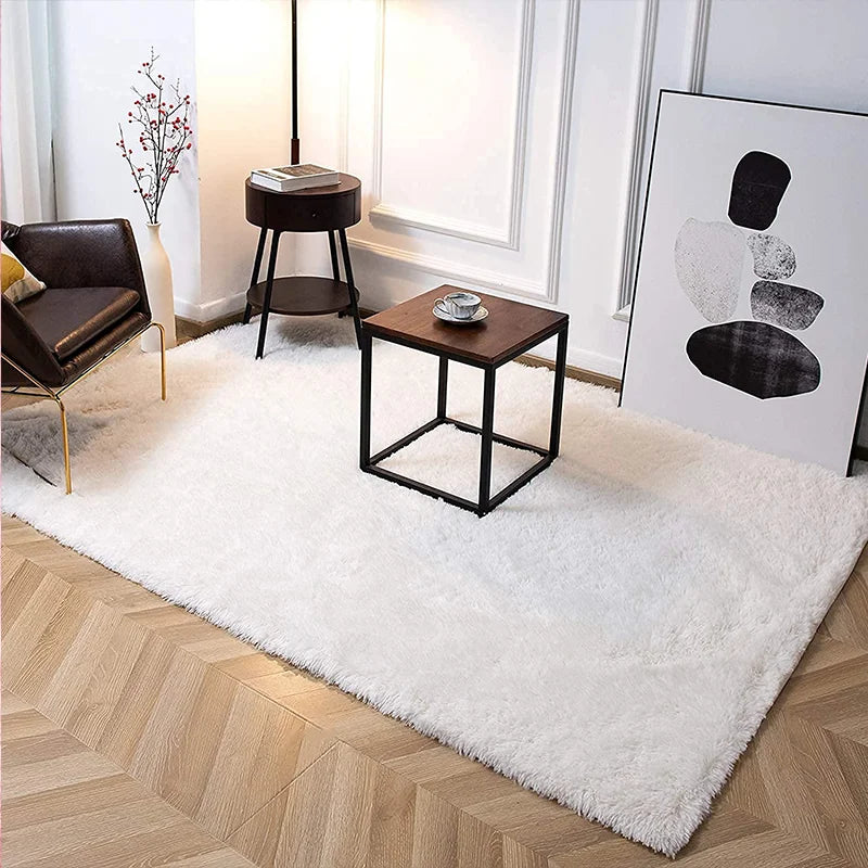 Plush Shaggy Area Rug for Living Room & Bedroom