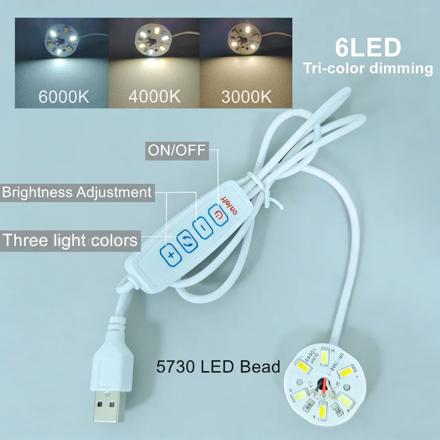 USB LED bead light with remote control featuring six different color temperatures and brightness adjustment options