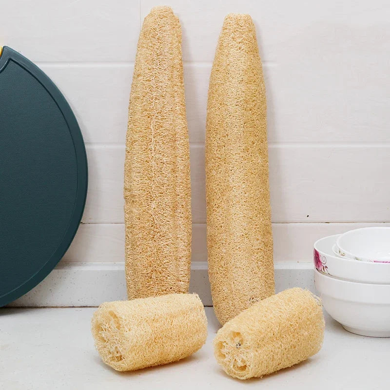 Natural loofah body scrubber with a hanging rope shown in various forms and colors.