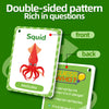 Double-sided pattern flash cards showing a squid on the front and mollusks on the back