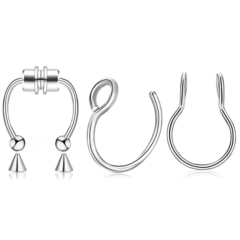 Magnetic Septum Ring Set